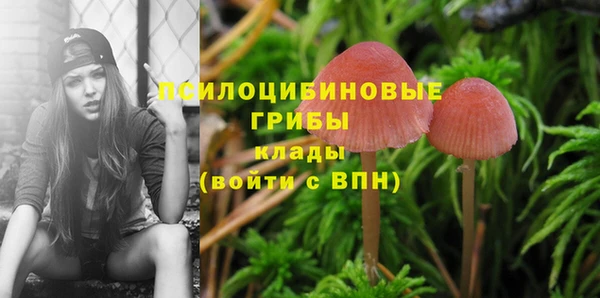 трава Верхнеуральск